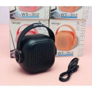 Wster WS 302 Bluetooth Speaker