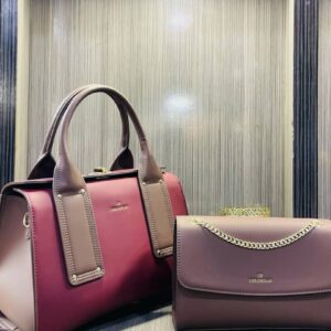 beautiful bag Elegant design
