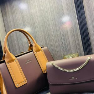 beautiful bag Elegant design